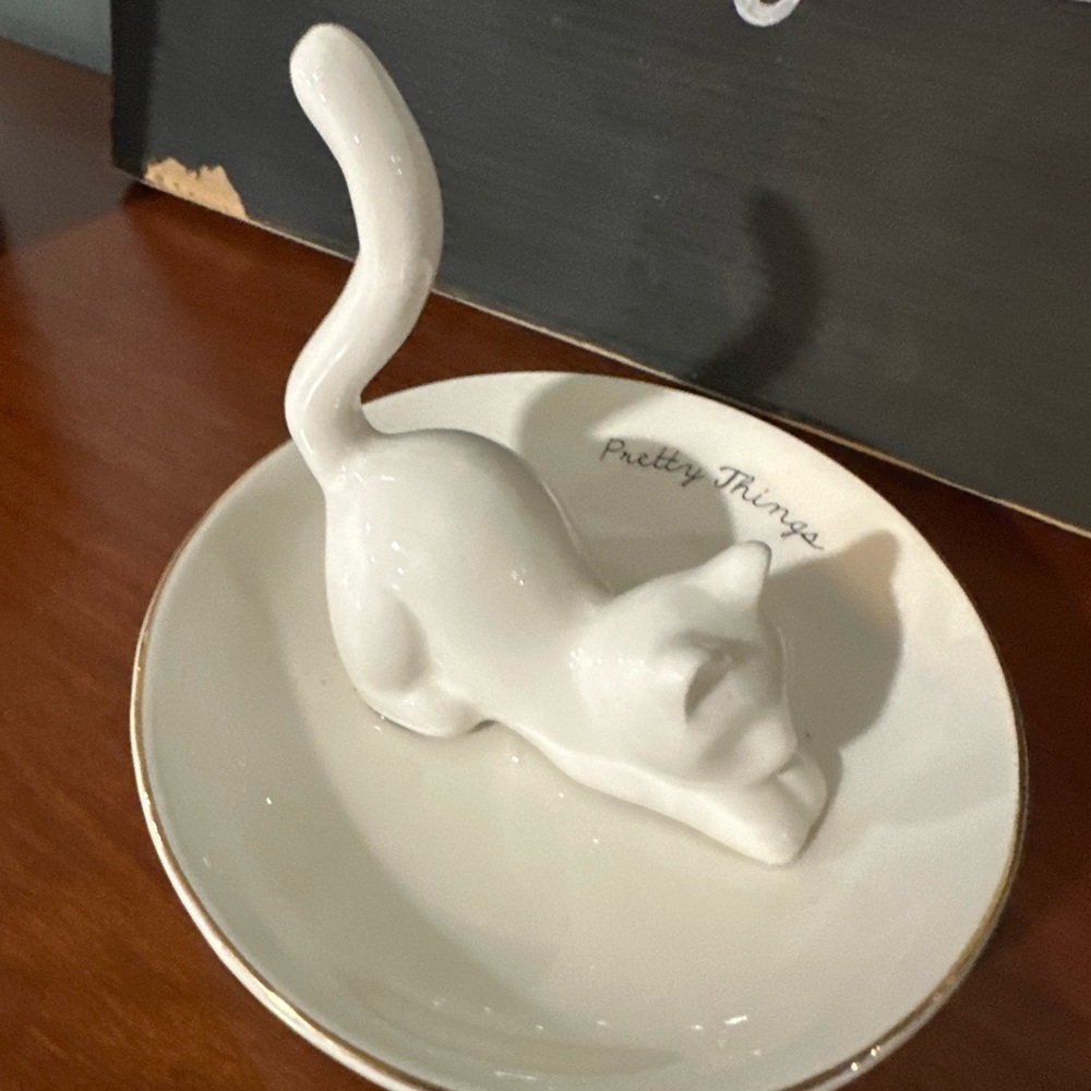 Ceramic ring holder
